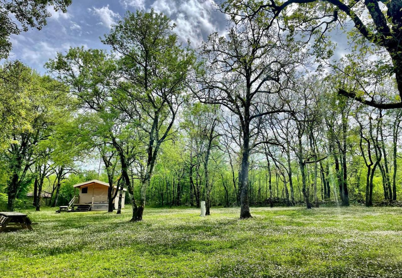 Lodges Du Bois Dodo - Ancien Camping De Bois Redon Septfonds ภายนอก รูปภาพ